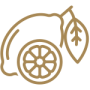 citrus-perfume-icon