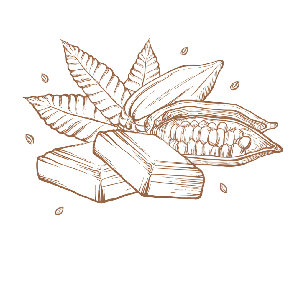 parfumi-z-vonjem-cokolade1 parfumi z vonjem čokolade