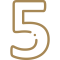 icon 5