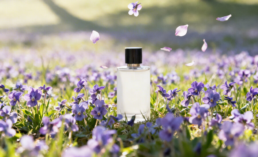 Parfumi z vonjem vijolice